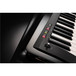 Korg RK-100S Keytar 37 Note Performance Keyboard, Black