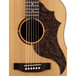 Luna Americana Electro Acoustic Guitar, Leather Pick Guard