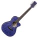 Luna Flora Passionflower Electro Acoustic Guitar Front View