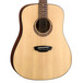 Luna Gypsy Muse Dreadnought Acoustic Guitar + Hard Shell Case