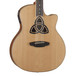 Luna Trinity 12 String Grand Concert Electro Acoustic Guitar