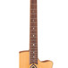 Luna Trinity Nylon Grand Concert Electro Acoustic Guitar