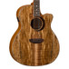 Luna Woodland Spalted Maple Grand Concert Electro Acoustic Guitar