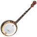 Fender FB-59 Professional Banjo with Hard Case