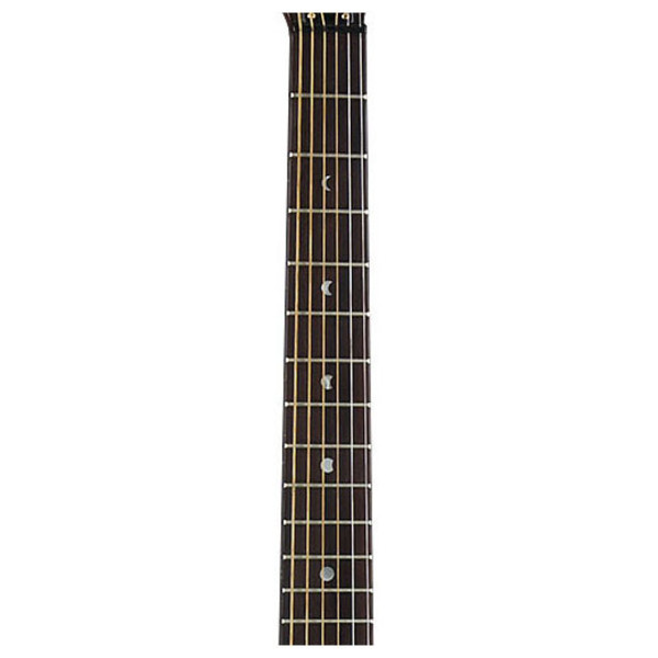 Luna Steel Magnolia Resonator