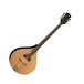 Luna Trinity Electro Acoustic Bouzouki