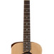 Luna Safari Dolphin Travel Guitar