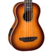 Luna Baritone Electro Acoustic Ukulele Bass, High Tide Tobacco Burst