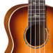 Luna Baritone Electro Acoustic Ukulele Bass, High Tide Tobacco Burst