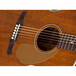 Fender Pro Custom Newporter