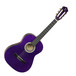 Tanglewood 3/4 Classical Acoustic Guitar, Trans Purple