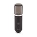AKG P820 Tube Large Diaphragm Microphone - Front View 