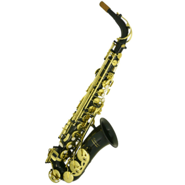 Elkhart 100AS Student Alto Saxophone, Black