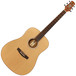 Ashton D20 Dreadnought Acoustic Guitar, Natural Matte