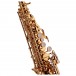 Trevor James 'The Horn' Soprano Saxophone, 2 Necks