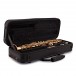 Trevor James 'The Horn' Soprano Saxophone, 2 Necks