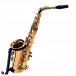 Trevor James Classic II Alto Saxophone, Gold - Secondhand