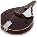 Tanglewood TWM-T-WR Union Series Teardrop Mandolin, Wine Red