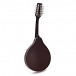 Tanglewood TWM-T-WR Union Series Teardrop Mandolin, Wine Red