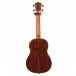 Cordoba 35T Tenor Ukulele, Acacia - Secondhand