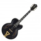 Ibanez Pat Metheny Signature, Black
