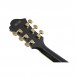 Ibanez Pat Metheny Signature, Black - Neck, Back