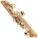 Trevor James EVO Soprano Saxophone, Gold Lacquer