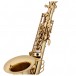 Theo Wanne Shakti Alto Saxophone