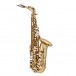 Theo Wanne Shakti Alto Saxophone