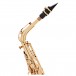 Trevor James EVO Alto Saxophone, Gold Lacquer