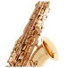 Trevor James EVO Alto Saxophone, Gold Lacquer