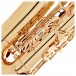 Trevor James EVO Alto Saxophone, Gold Lacquer