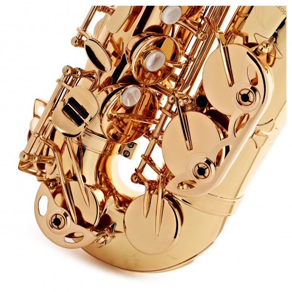 Trevor James EVO Alto Saxophone, Gold Lacquer