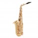 Trevor James EVO Alto Saxophone, Gold Lacquer