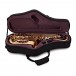 Trevor James EVO Alto Saxophone, Gold Lacquer