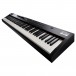 Roland RD-88 EX Stage Piano - Angled