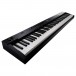 Roland RD-88 EX Compact 88-Key Stage Piano - Angled 2