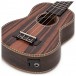 Snail UKS-E220EQ Soprano Ebony Electro Acoustic Ukulele