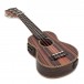 Snail UKS-E220EQ Soprano Ebony Electro Acoustic Ukulele