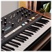 Moog Muse 8-Voice Polyphonic Analog Synthesizer - Lifestyle 2