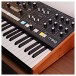 Moog Muse 8-Voice Polyphonic Analog Synthesizer - Lifestyle 7