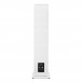 Triangle Borea BR08 Floorstanding Speaker, White Rear View