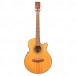 Tanglewood TFC E SN Acoustic Guitar - Secondhand