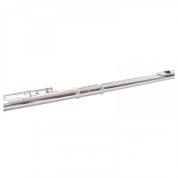Trevor James TJ10X Mk IV Student Flute