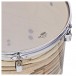 Pearl Decade Maple 22'' Am Fusion Drum Kit w/Hardware, Gloss Exotic Maple