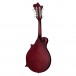 Epiphone F-5 Studio Inspired by Gibson, Wine Red Satin