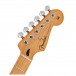 Fender Player Stratocaster Plus Top MN, Aged Cherry Burst