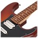 Fender Player Stratocaster HSH PF, Tobacco Burst