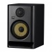 ROKIT RP5 G5 Studio Monitors - Angled