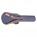 Cordoba Stage Nylon Guitar, Edge Burst